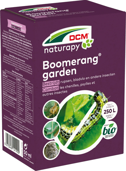 DCM BOOMERANG® GARDEN - JARDIN D'ORNEMENT thumbnail