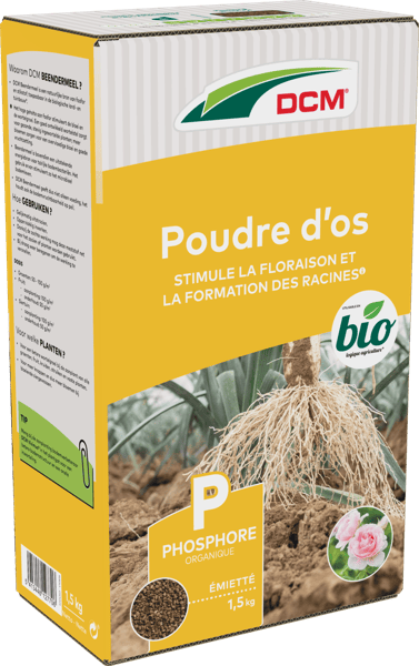 Poudre d’Os DCM thumbnail