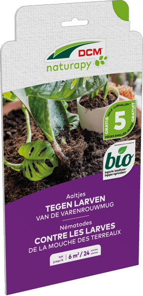 Aaltjes tegen larven van de varenrouwmug thumbnail