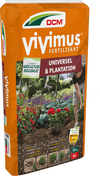 vivimus-universel-plantation-dcm thumbnail