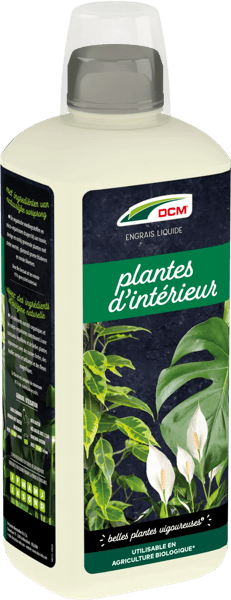 DCM Vloeibare Plantenvoeding Kamerplanten thumbnail