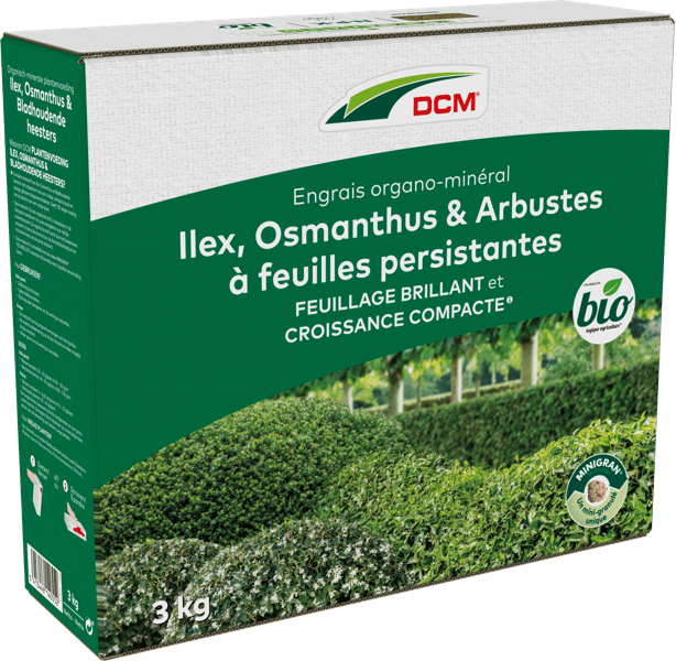 Engrais Ilex, Osmanthus & Arbustes à feuilles persistantes DCM thumbnail