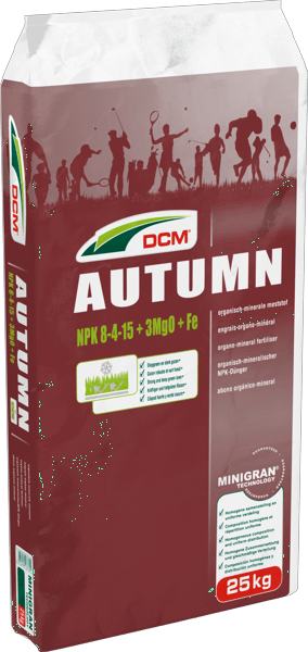 DCM AUTUMN thumbnail