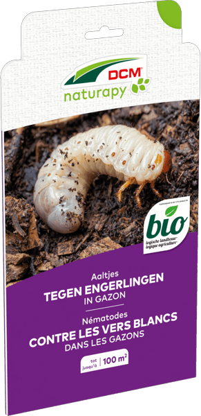 Aaltjes tegen engerlingen in gazon thumbnail