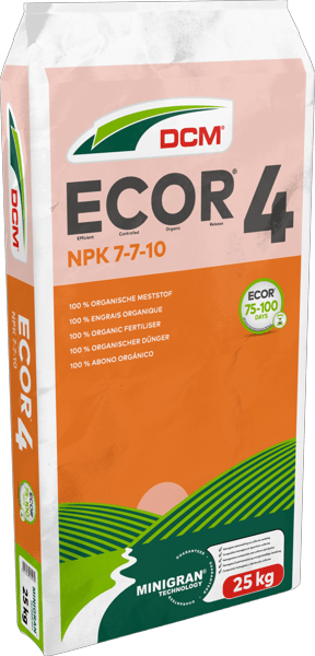 DCM ECOR® 4 thumbnail