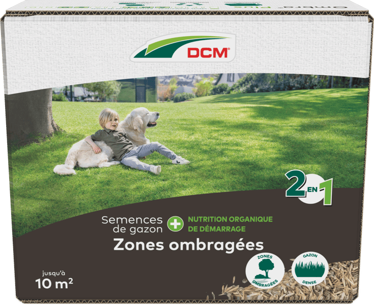 Gazon ombre - 1kg - Semences gazon - Tesa Garden