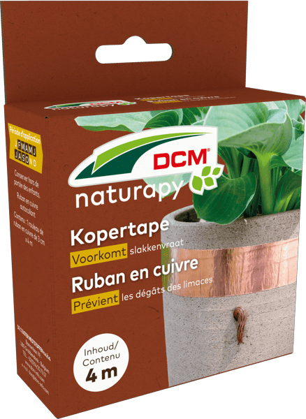 Ruban en cuivre DCM thumbnail