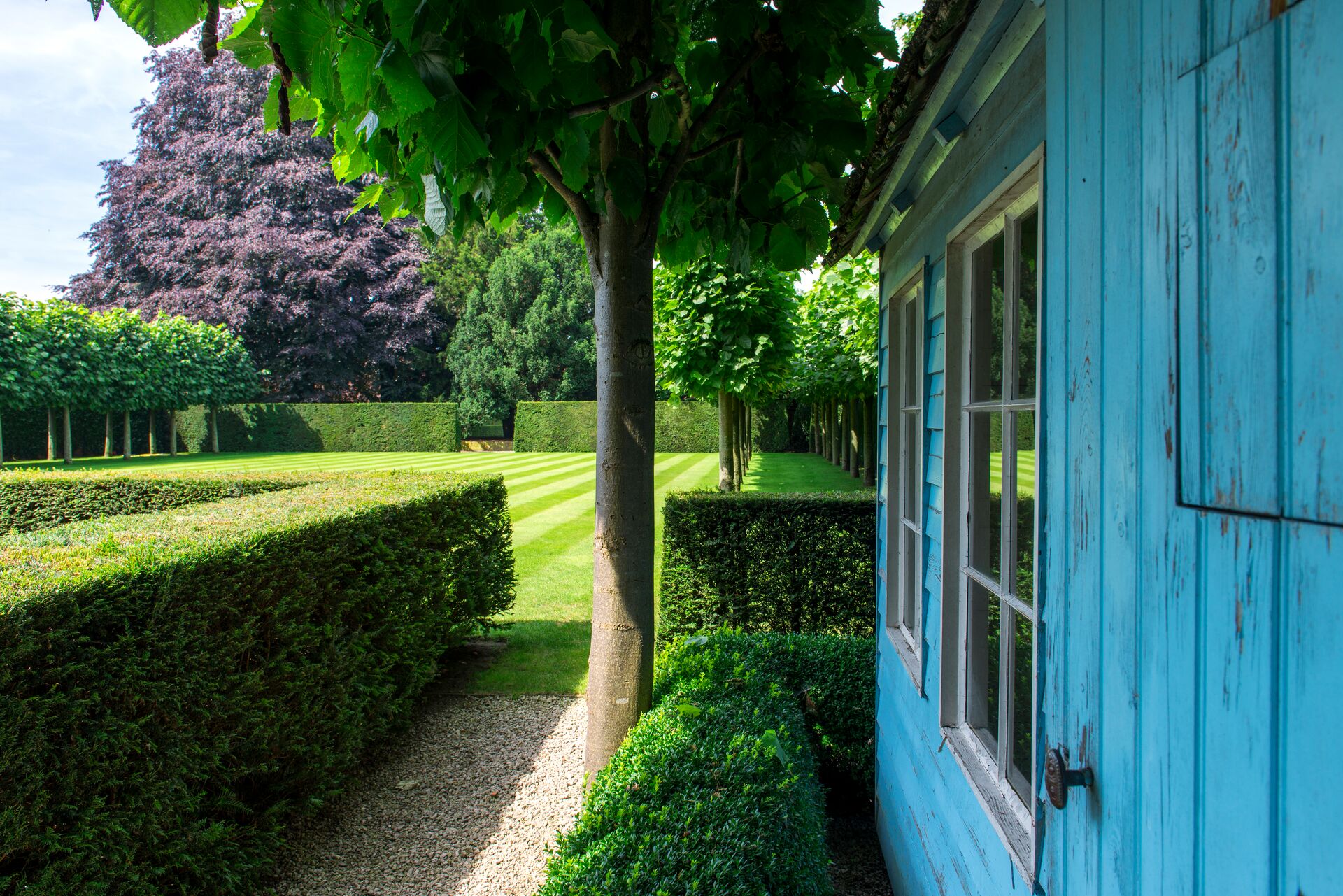 welchen dünger für alle gartenpflanzen Purgrün Blumendünger 1 Liter main image 1