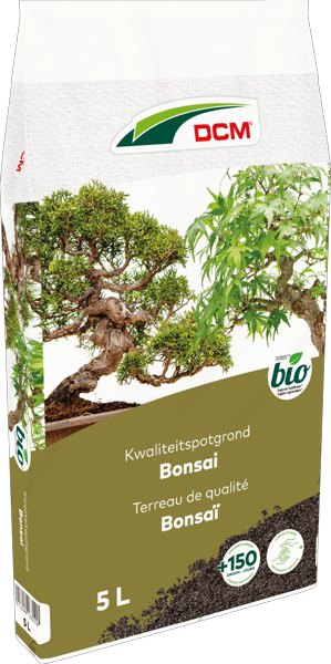 bambus zahnbürste hart Bambuszahnbürsten für Erwachsene